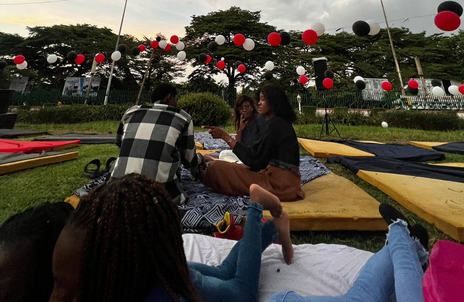 Movie in the Park 2024